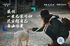 o噢噢噢采集到文案