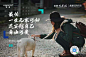 花瓣搜  ZR资源  进群免费分享