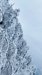 雪