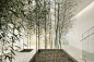 1-013竹林庭院-Bamboo-Couryard-Poly-WeDo-Education-Institution-by-Arch-Studio.jpg (1500×1000)
