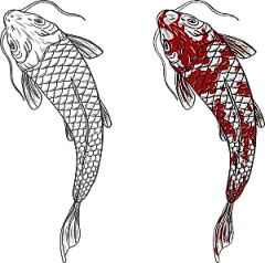 中国风手绘锦鲤鱼插画免抠PNG装饰设计