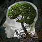 Optical Illusion Head with Green Tree by Igor Morski