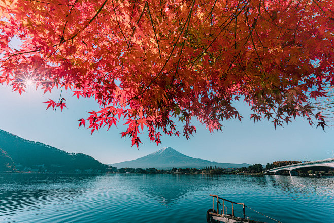 Japan -Autumn colors