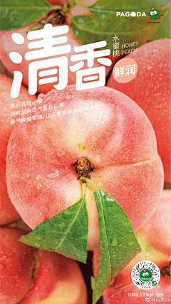 微c_fusang采集到农产品｜广告