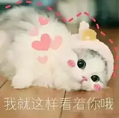 猫咪表情包_百度图片搜索