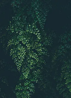 纹理背景高清图片素材
