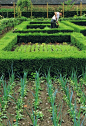 Vegetable gardening at Axel Vervoordt in Antwerp: 