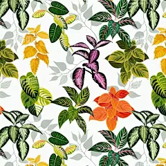 手绘花  - 源文件下载【酷图网】手绘画,水彩花,花朵,叶子花,墙画,背景画,手绘花草,猫,花草,蝴蝶花,