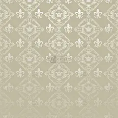壁纸背景银