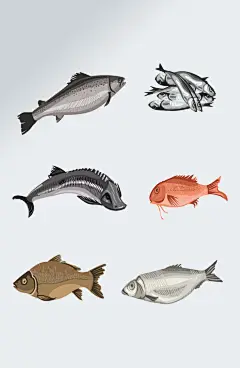 鱼海产品海鲜插画素材