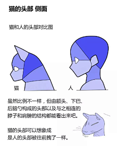 是小师妹呀采集到A【参考】动物结构