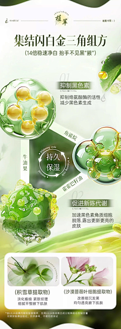 杀(o^^o)♪生丸采集到未分类