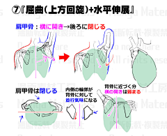 飘渺の尘采集到教程