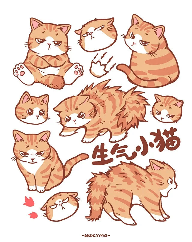 猫打滚卡通 - 小红书搜索-花瓣网