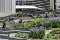 Nathan Phillips Square Revitalization by PLANT Architects + Perkins+Will « Landscape Architecture Platform | Landezine