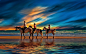 General 1920x1200 nature landscape beach sunset sea clouds family horse sand water