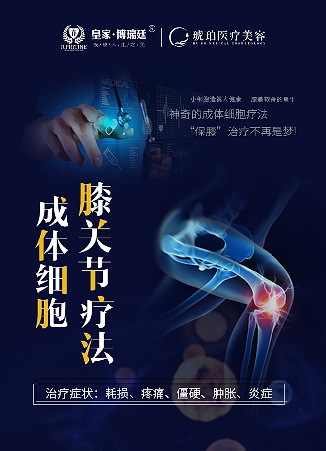 膝关节海报