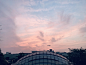 小七Nikki_夕阳与降落的飞机-摄影