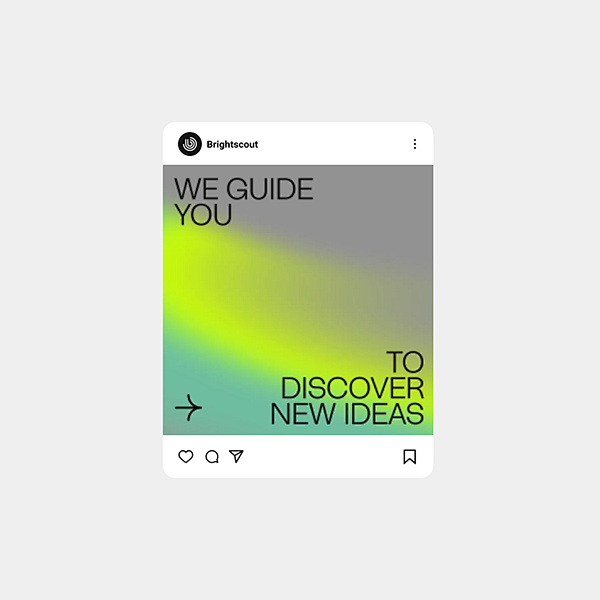 Brightscout Visual I...