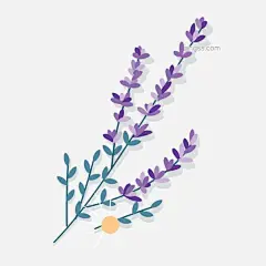 手绘水彩花卉卡通透明素材图片大小1024x1024px 图片尺寸202.21 KB 来自PNG搜索网 pngss.com 免费免扣png素材下载！插画#花朵#卡通素材#可爱#免扣素材#透明素材#装饰图案#