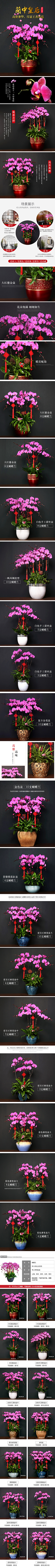 ★等待采集到设计作品
