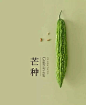 24节气里，有24种食材最好看的模样 更多欢迎关注:<br/>huaban.com/tonycm<br/>dribbble.com/tonyCM<br/>(微信订阅号：cmdesign1611）