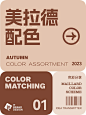 超实用秋日美拉德～海报、PPT、logo