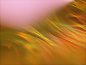 07df1870168651.5b9f93d7859df