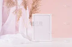 宁静的家居装饰，空白的文字相框，丝绸窗帘，蓬松的芦苇花束在白色木桌，粉红色的墙壁。模板显示和组合。