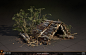 S.T.A.L.K.E.R. 2: Heart of Chornobyl - Deadwood