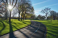 城市公园休闲步道高清摄影图