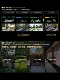 柑橘卷卷采集到G-概念及分析