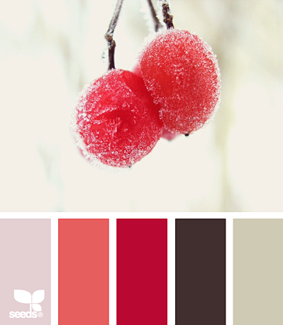 winter berry