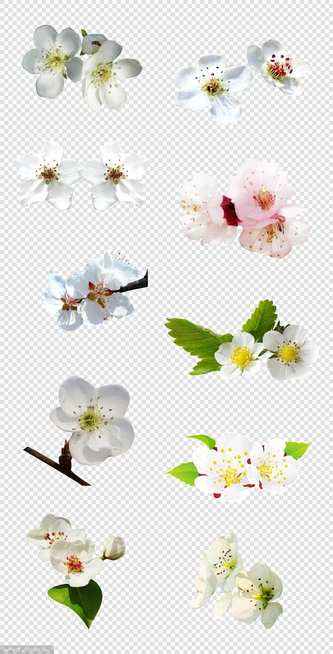 源文件-桃花鲜花花朵绿叶芳香刺绣枝条梨花花圈PNG免扣设计素材-花瓣网
