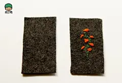 精巧可爱的绣花名片套手工制作步骤图解-