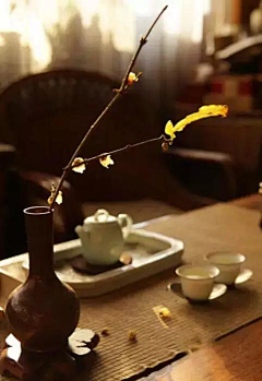 专注景观采集到禅茶一味