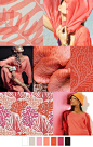 CORAL REEF color palette. For more follow www.pinterest.com/ninayay and stay positively #pinspired #pinspire @ninayay: 