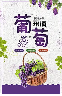 葡萄宣传海报设计素材
