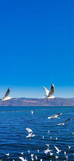 原图壁纸：眼里有光，哪里都是好风景 - 今日头条