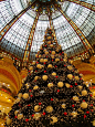 Lafayette Department Store in Paris
巴黎 Lafayette店圣诞树