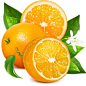 46f14cb7ddea91074e40432d1925c6b0a1268dc61dd4c-v3FhsF