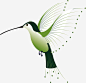 绿色蜂鸟矢量图免抠素材_新图网 https://ixintu.com 蜂鸟 动物 鸟类 绿色 矢量图