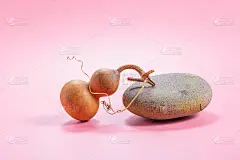 粉红色的背景和黄色的成熟葫芦果特写