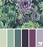 { succulent hues } image via: @suertj