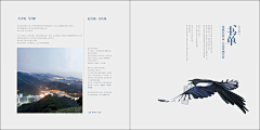 硕三爷采集到地产