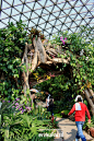 上海辰山植物园--温室植物馆