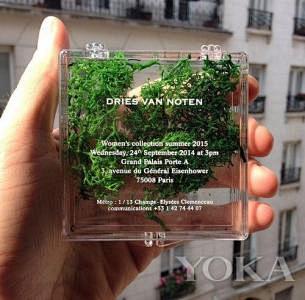 绿植邀请函