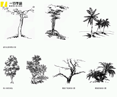 比目人设计采集到绘画素材-植物绘画