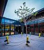 DSC_8603_调整大小.jpg