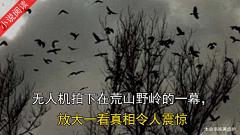 松lansong采集到微恐剧情